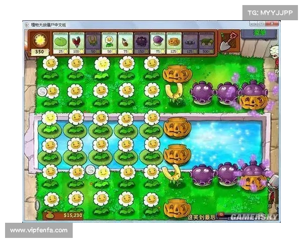 《鹰击长空1中文版游戏下载的五大步骤详细指南》