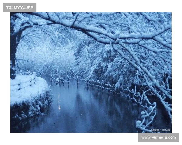 冬日湖畔的静谧与诗意 如何在寒风中找到心灵的宁静与美好