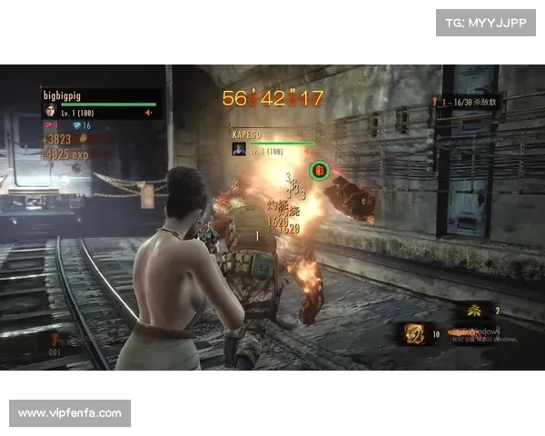 《生化危机启示录中如何最大限度提高生存几率的实用攻略》