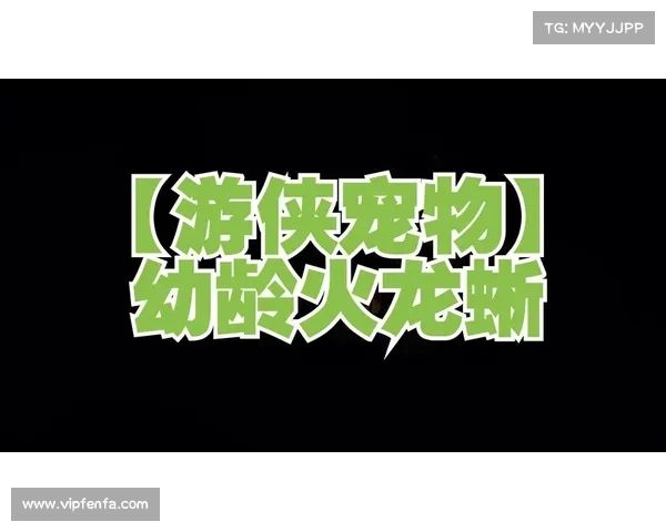 激战2游侠宠物选择与驯服攻略 全面解析最佳搭配技巧