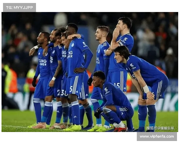 全面解析如何准确了解加的夫城足球俱乐部当前所处联赛的归属情况