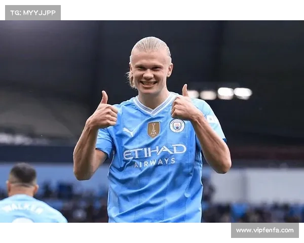 如何全面分析哈兰德在国家队的表现与影响力